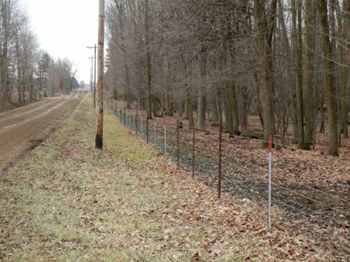 Property photo 7 - Amish Built Country Home & Buildings on 10+/- Acres