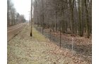 Property photo 7 - Amish Built Country Home & Buildings on 10+/- Acres