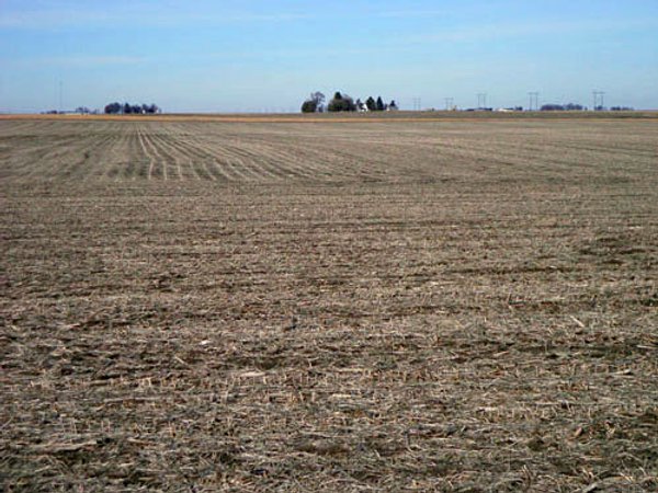 430+/- Acres Offered in 5 Tracts