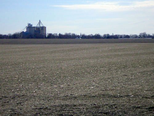 Property photo 3 - 430+/- Acres Offered in 5 Tracts