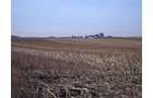 Property photo 2 - 430+/- Acres Offered in 5 Tracts