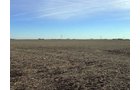 Property photo 1 - 430+/- Acres Offered in 5 Tracts