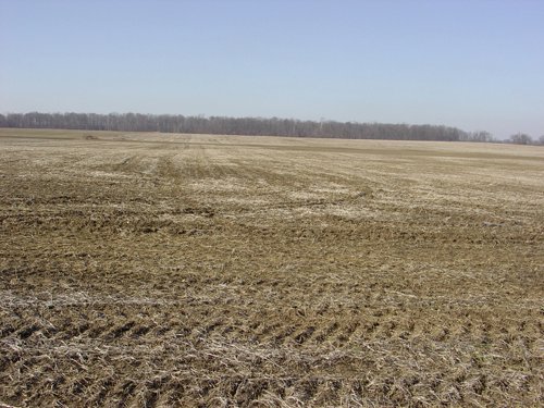 Property photo 6 - 144.2+/- Acres Offered in 2 Tracts in Williams Co., Ohio