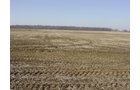 Property photo 6 - 144.2+/- Acres Offered in 2 Tracts in Williams Co., Ohio