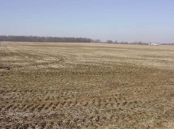 144.2+/- Acres Offered in 2 Tracts in Williams Co., Ohio