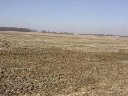 Property photo 12 - 144.2+/- Acres Offered in 2 Tracts in Williams Co., Ohio