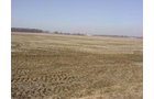Property photo 12 - 144.2+/- Acres Offered in 2 Tracts in Williams Co., Ohio