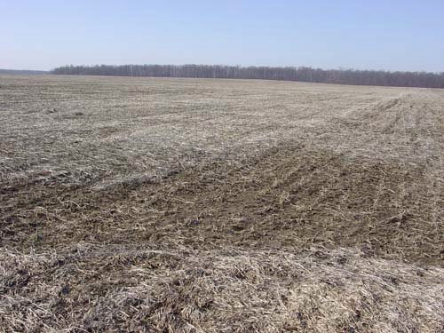 Property photo 9 - 144.2+/- Acres Offered in 2 Tracts in Williams Co., Ohio