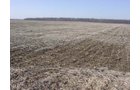 Property photo 9 - 144.2+/- Acres Offered in 2 Tracts in Williams Co., Ohio