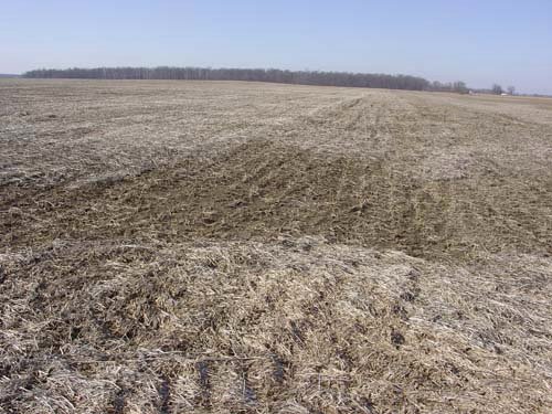 Property photo 10 - 144.2+/- Acres Offered in 2 Tracts in Williams Co., Ohio