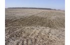 Property photo 10 - 144.2+/- Acres Offered in 2 Tracts in Williams Co., Ohio
