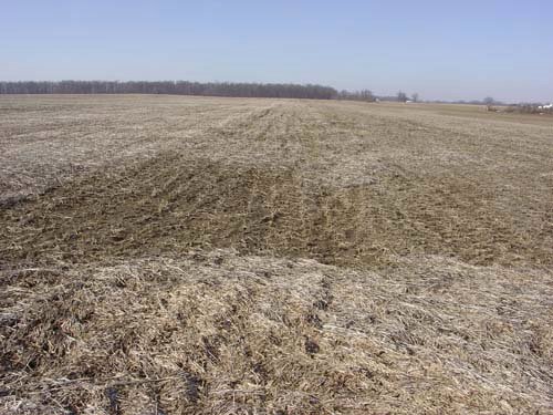 Property photo 11 - 144.2+/- Acres Offered in 2 Tracts in Williams Co., Ohio