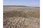 Property photo 11 - 144.2+/- Acres Offered in 2 Tracts in Williams Co., Ohio