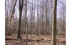 Property photo 7 - 144.2+/- Acres Offered in 2 Tracts in Williams Co., Ohio