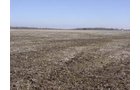 Property photo 4 - 144.2+/- Acres Offered in 2 Tracts in Williams Co., Ohio