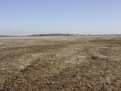 Property photo 8 - 144.2+/- Acres Offered in 2 Tracts in Williams Co., Ohio