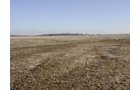 Property photo 8 - 144.2+/- Acres Offered in 2 Tracts in Williams Co., Ohio
