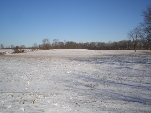 Property photo 2 - 94+/- Acres Offered in 3 Tracts - 2 Farms