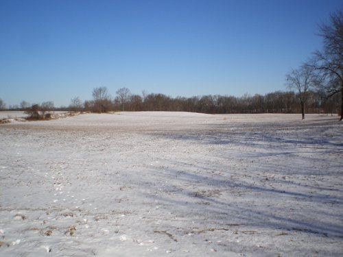 Property photo 14 - 94+/- Acres Offered in 3 Tracts - 2 Farms