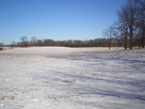 Property photo 9 - 94+/- Acres Offered in 3 Tracts - 2 Farms