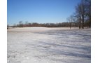 Property photo 9 - 94+/- Acres Offered in 3 Tracts - 2 Farms