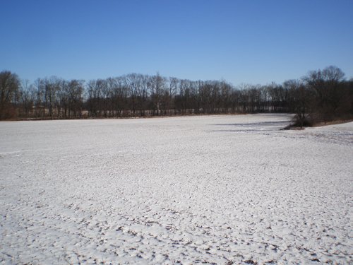 Property photo 10 - 94+/- Acres Offered in 3 Tracts - 2 Farms