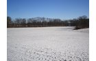 Property photo 10 - 94+/- Acres Offered in 3 Tracts - 2 Farms