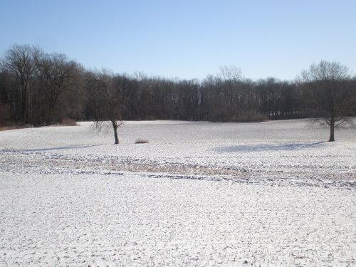 Property photo 12 - 94+/- Acres Offered in 3 Tracts - 2 Farms