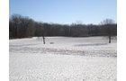 Property photo 12 - 94+/- Acres Offered in 3 Tracts - 2 Farms