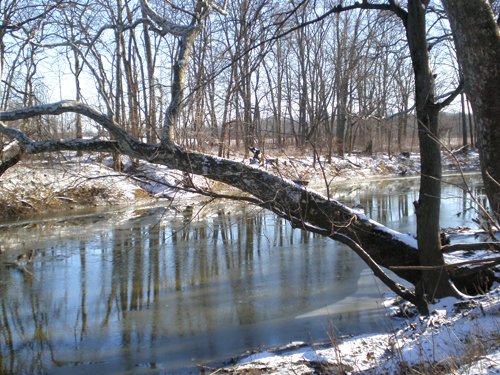 Property photo 18 - 94+/- Acres Offered in 3 Tracts - 2 Farms
