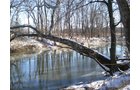 Property photo 18 - 94+/- Acres Offered in 3 Tracts - 2 Farms
