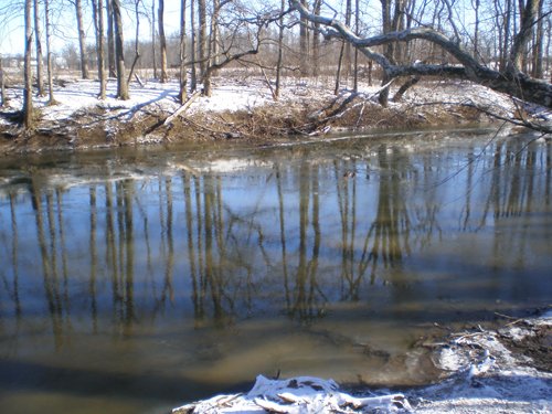 Property photo 7 - 94+/- Acres Offered in 3 Tracts - 2 Farms