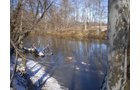 Property photo 13 - 94+/- Acres Offered in 3 Tracts - 2 Farms