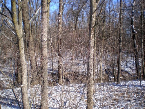 Property photo 4 - 94+/- Acres Offered in 3 Tracts - 2 Farms