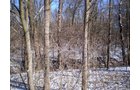 Property photo 4 - 94+/- Acres Offered in 3 Tracts - 2 Farms
