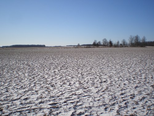 Property photo 3 - 94+/- Acres Offered in 3 Tracts - 2 Farms