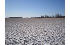 Property photo 3 - 94+/- Acres Offered in 3 Tracts - 2 Farms