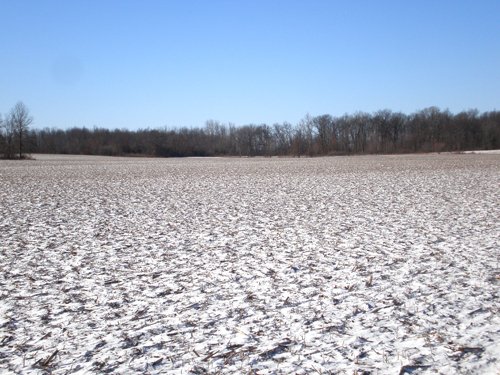 Property photo 1 - 94+/- Acres Offered in 3 Tracts - 2 Farms