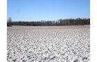 Property photo 1 - 94+/- Acres Offered in 3 Tracts - 2 Farms