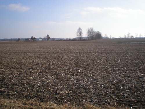 Property photo 6 - 94+/- Acres Offered in 3 Tracts - 2 Farms