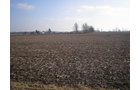 Property photo 6 - 94+/- Acres Offered in 3 Tracts - 2 Farms
