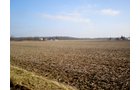 Property photo 8 - 94+/- Acres Offered in 3 Tracts - 2 Farms