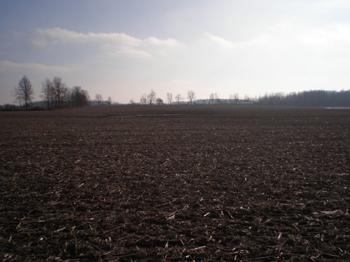 Property photo 16 - 94+/- Acres Offered in 3 Tracts - 2 Farms