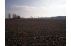 Property photo 16 - 94+/- Acres Offered in 3 Tracts - 2 Farms