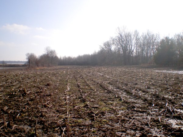 94+/- Acres Offered in 3 Tracts - 2 Farms