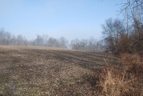 Property photo 3 - 70+/- Acres Offered in 1 Tract in Noble County, Indiana