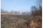 Property photo 3 - 70+/- Acres Offered in 1 Tract in Noble County, Indiana