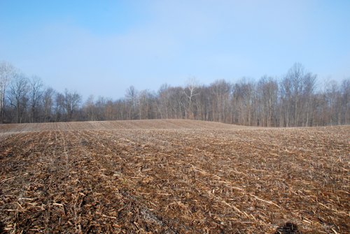 Property photo 10 - 70+/- Acres Offered in 1 Tract in Noble County, Indiana