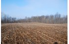 Property photo 10 - 70+/- Acres Offered in 1 Tract in Noble County, Indiana
