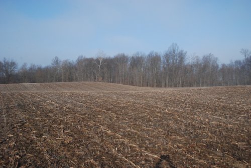 Property photo 6 - 70+/- Acres Offered in 1 Tract in Noble County, Indiana